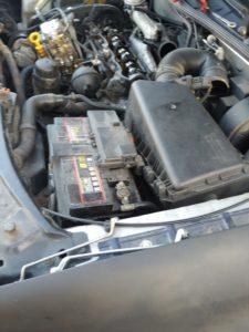 IMG-20231118-WA0001