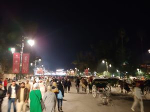 IMG-20231118-WA0010